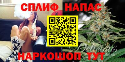 тгк Краснодар